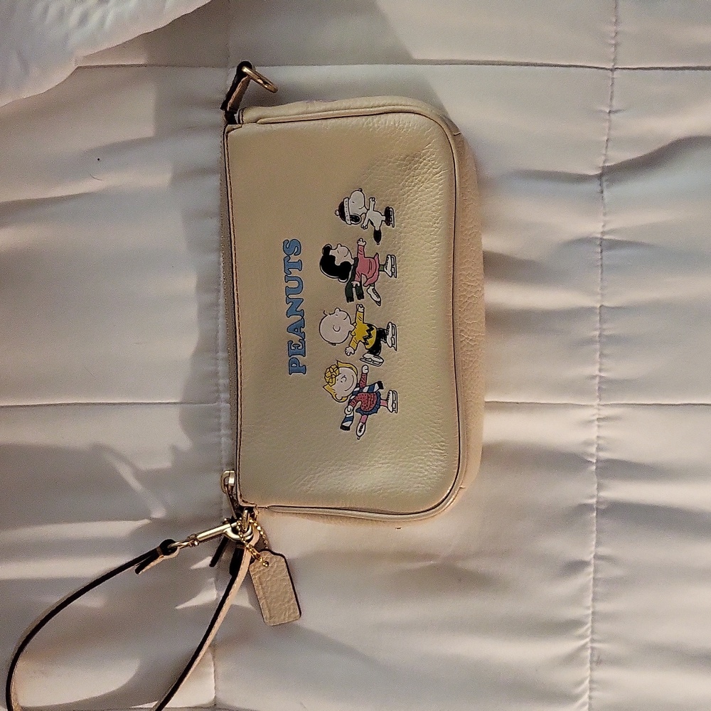 Small Coach Bag